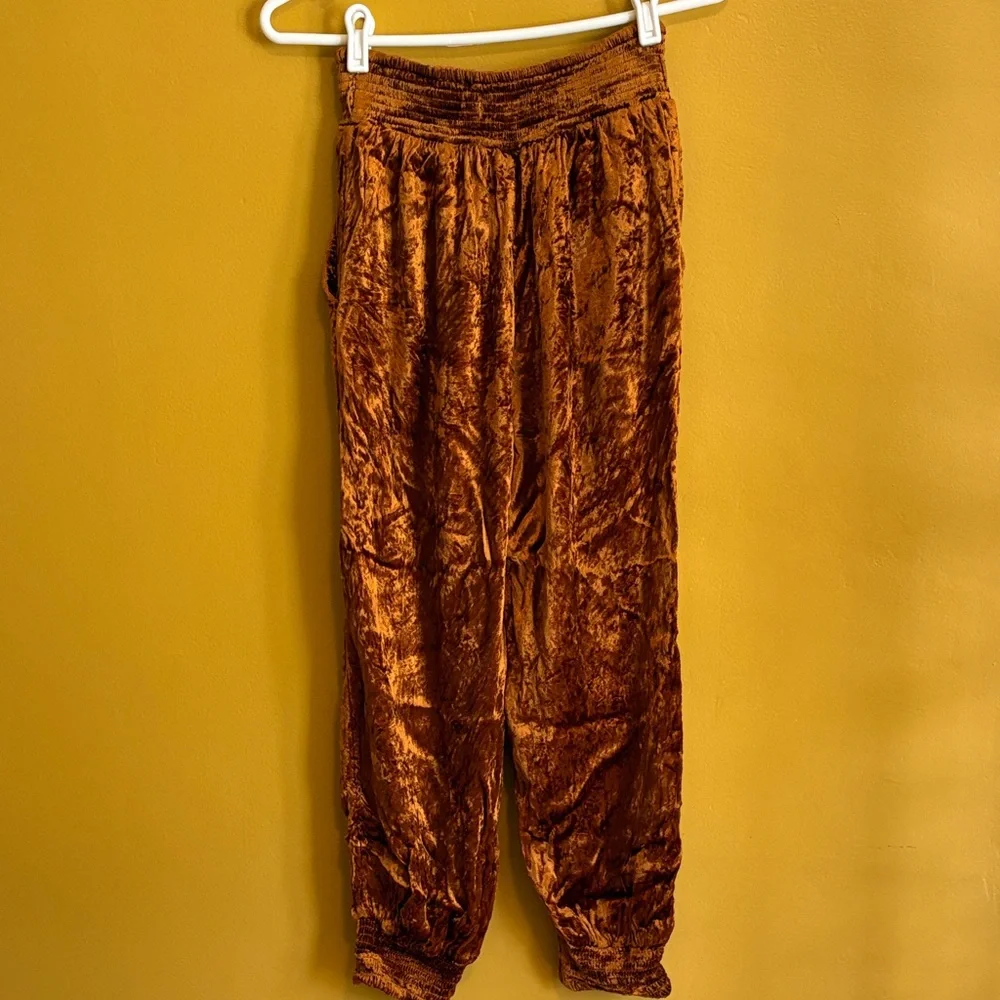 Anthropologie Rust Floral-Embroidered Velvet Joggers - Picture 5 of 6
